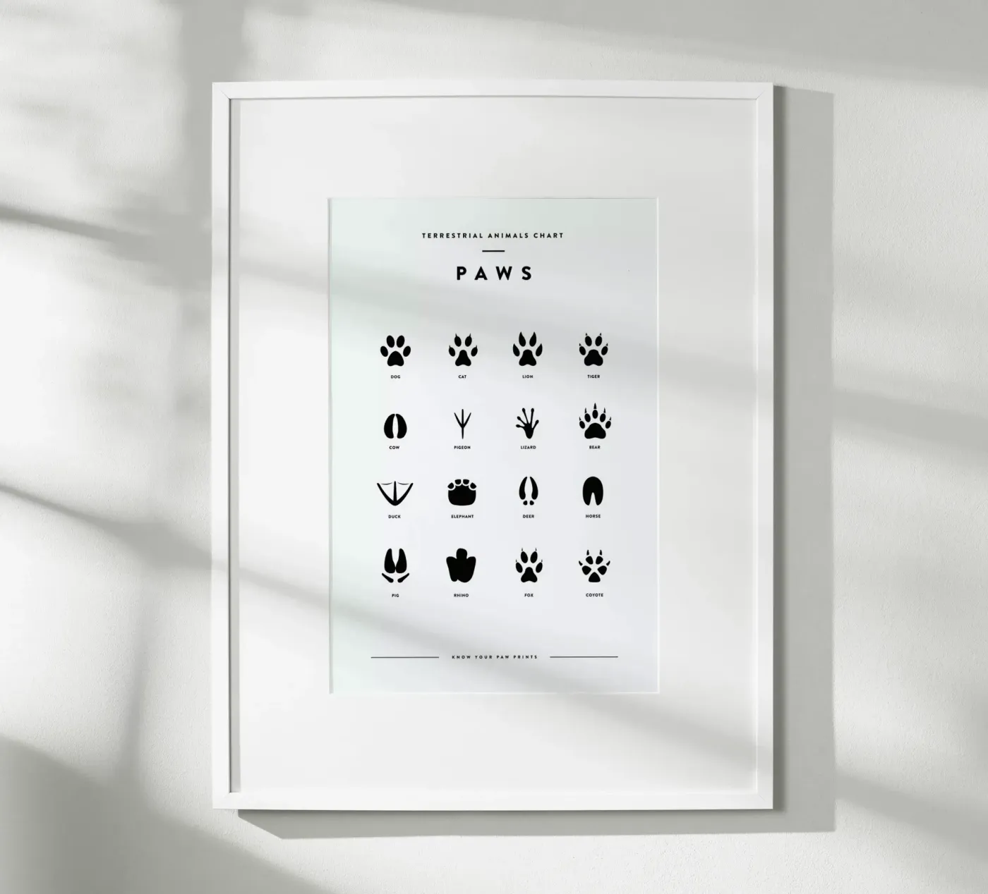 Paws chart poster van daylight design studio