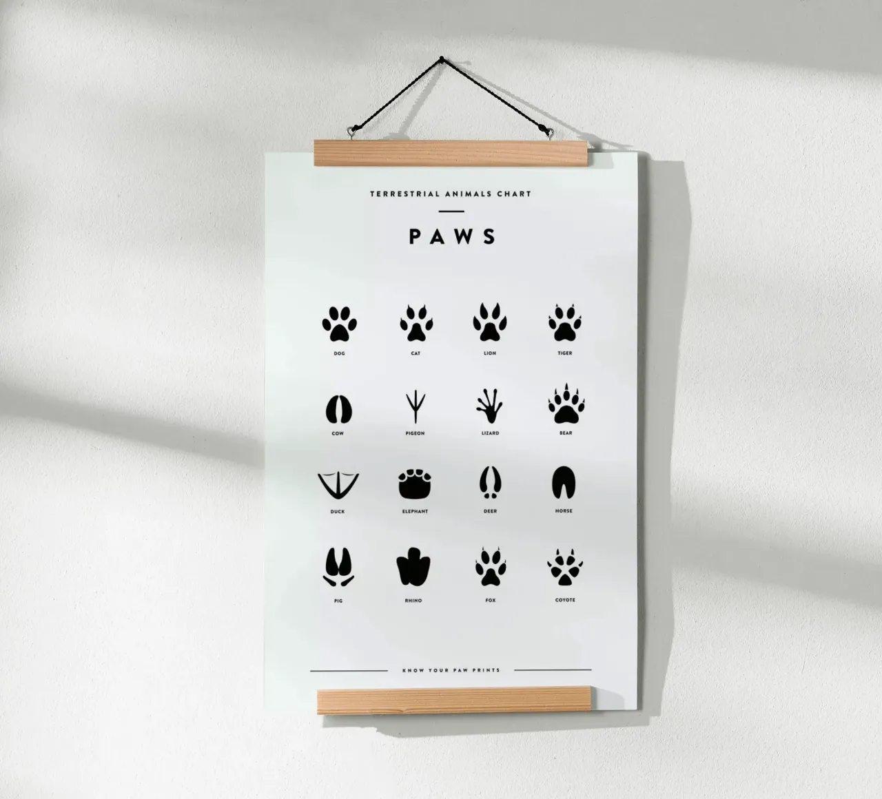 Paws chart poster da daylight design studio