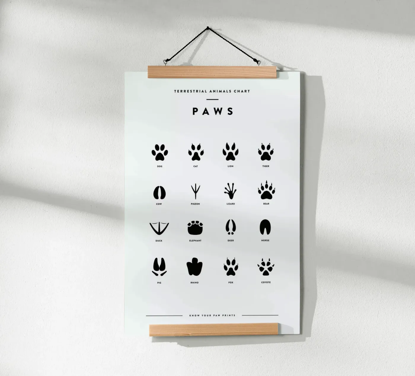 Paws chart poster van daylight design studio