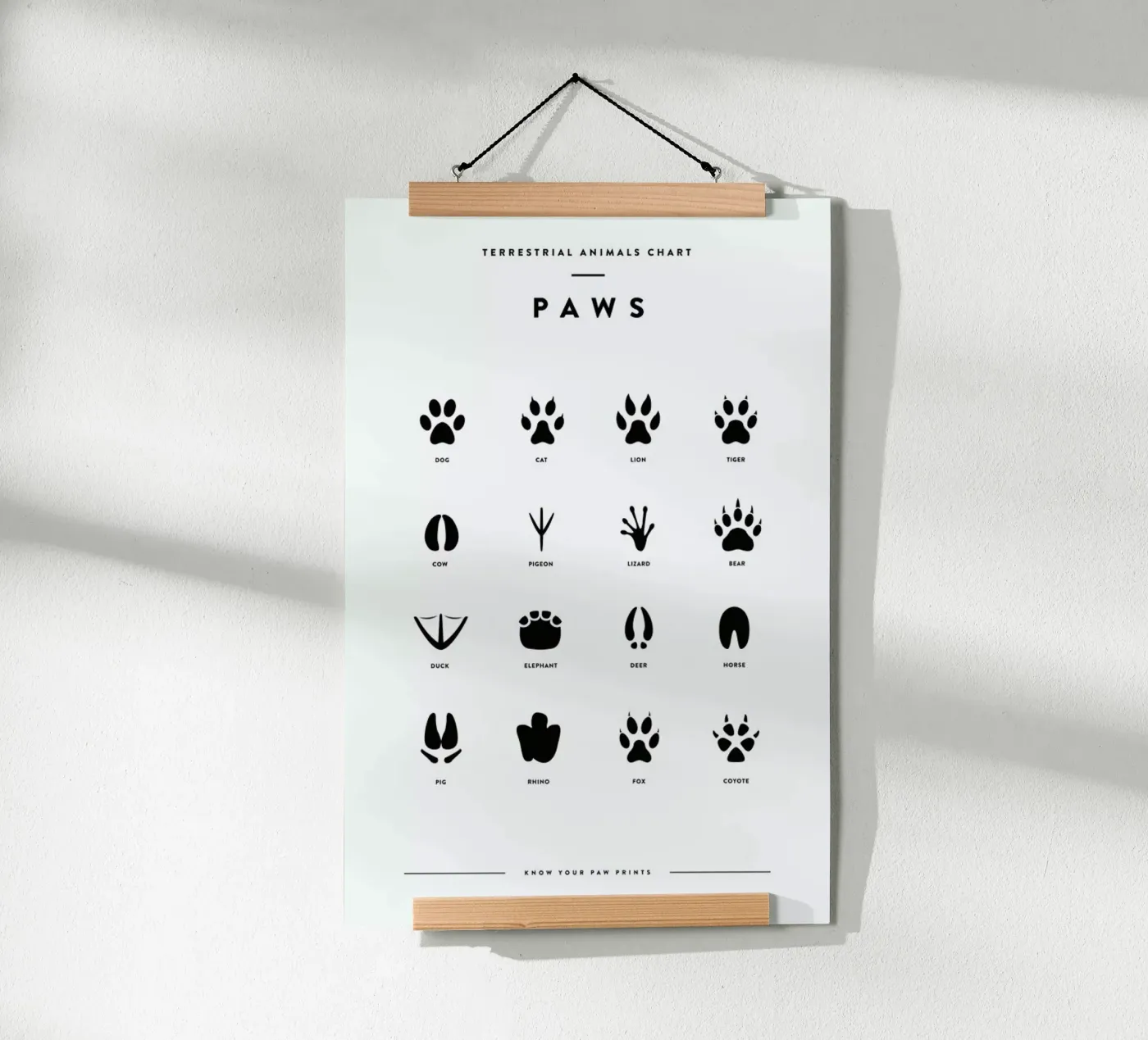 Paws chart poster da daylight design studio