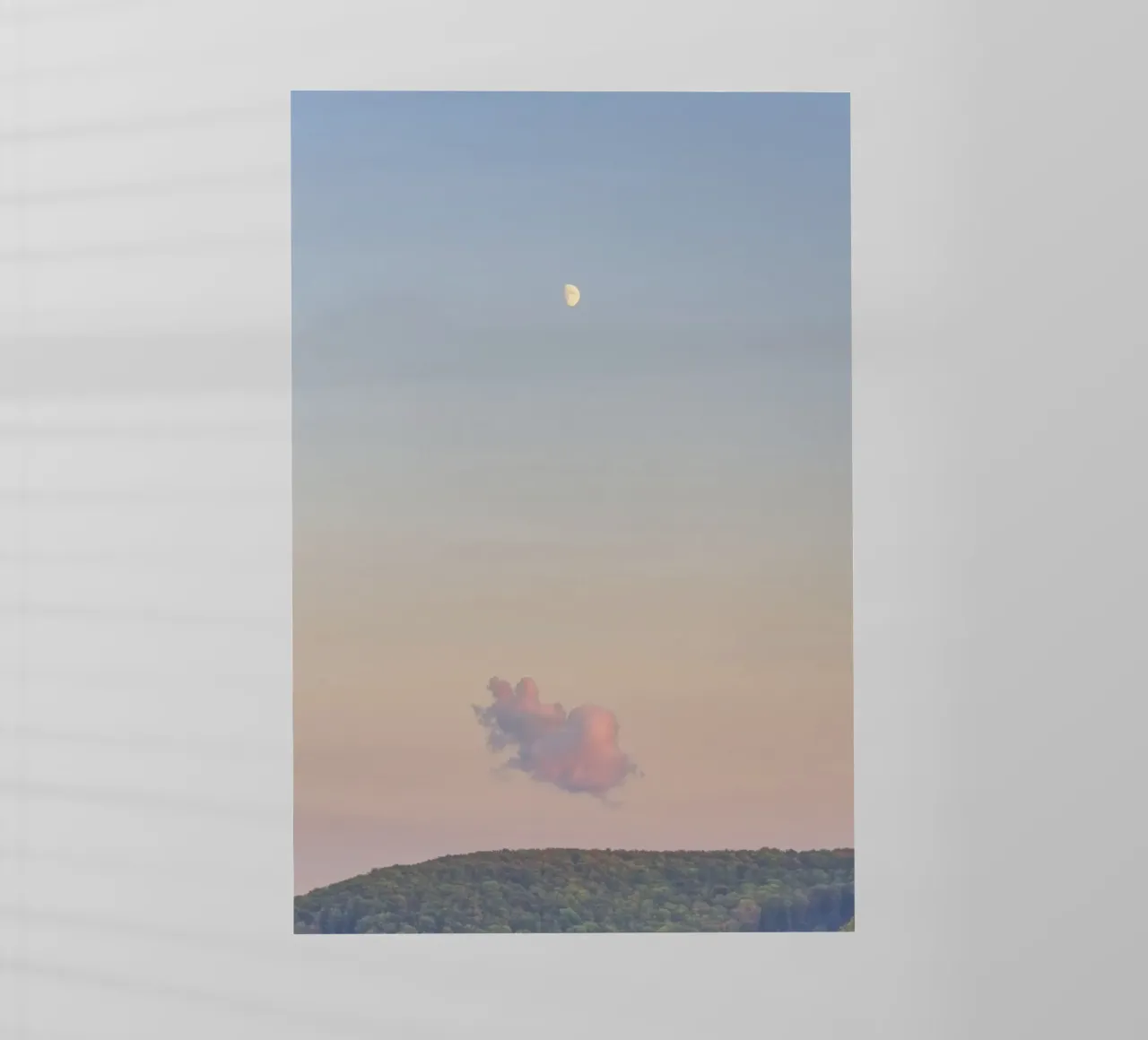 Forest Cloud Moon pellicola backlit da Nur Mut