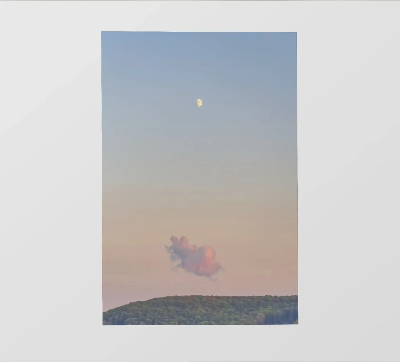 Forest Cloud Moon pellicola backlit da Nur Mut