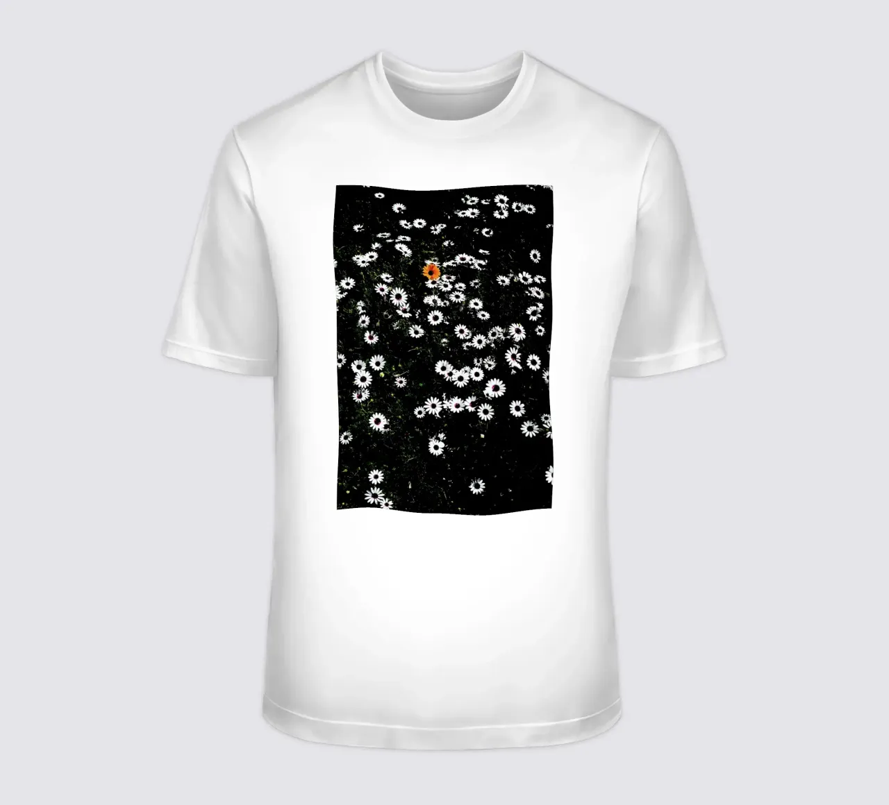 Namaqua t-shirt by Shot By Clint