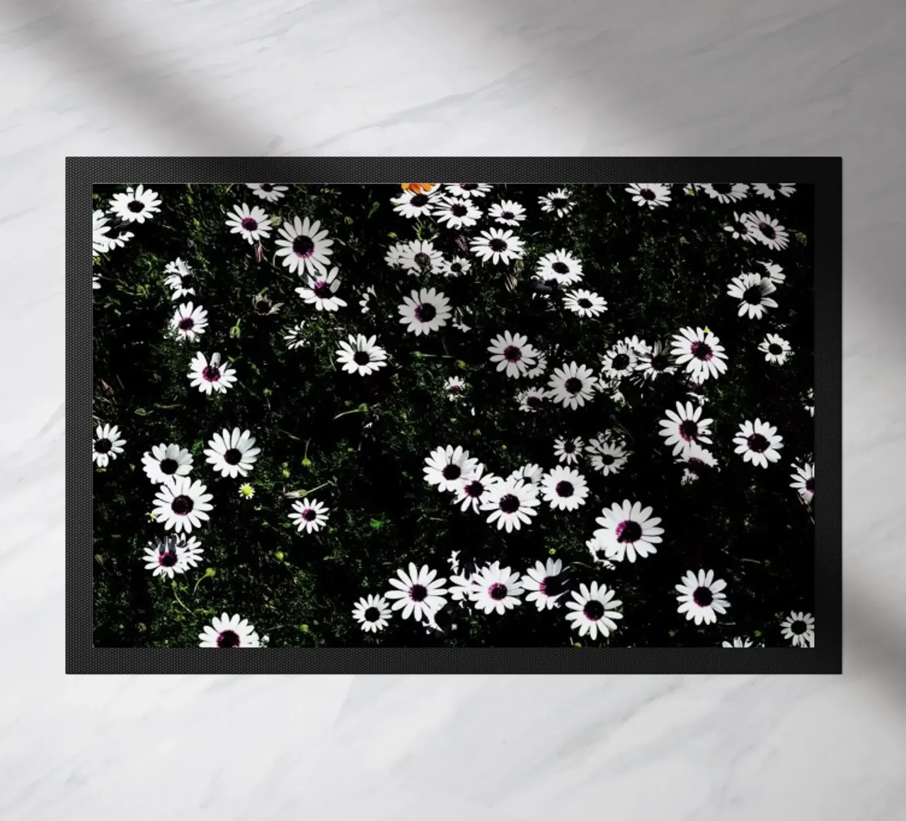 Namaqua doormat by Shot By Clint