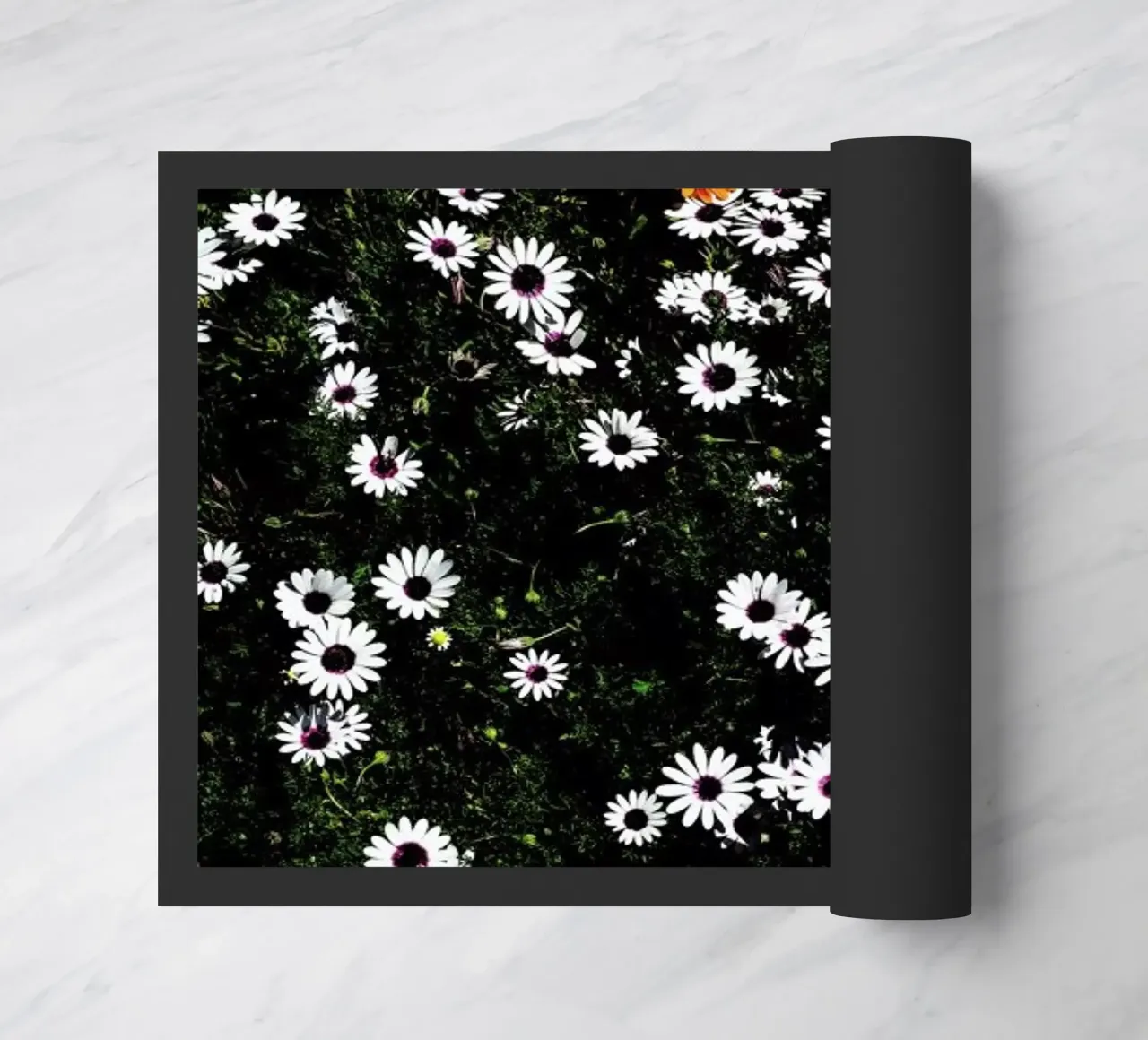 Namaqua doormat by Shot By Clint