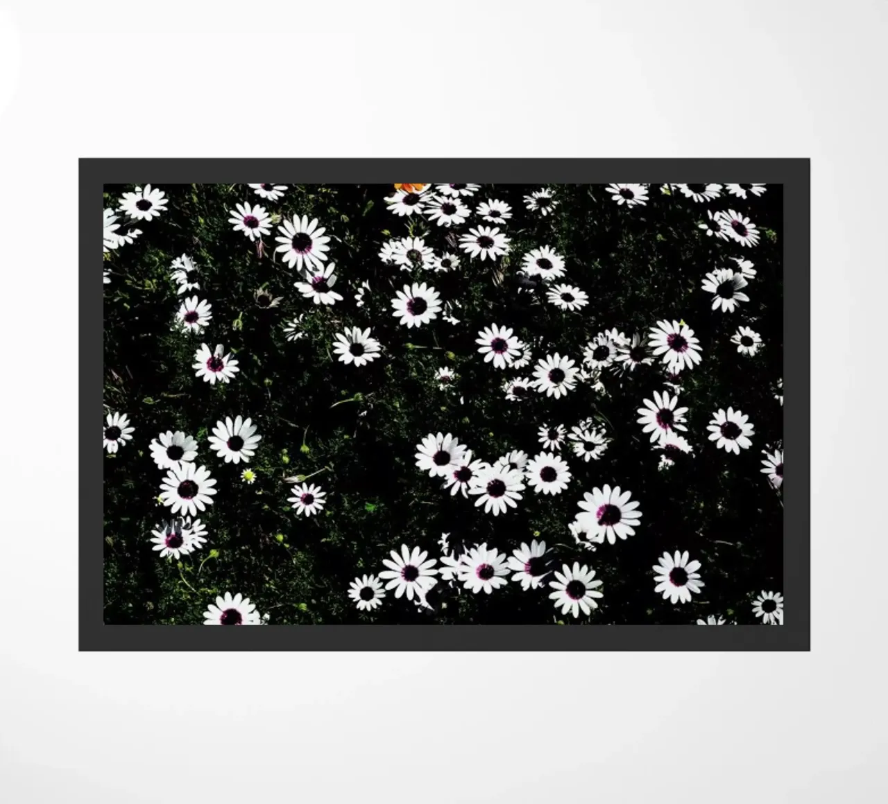 Namaqua doormat by Shot By Clint