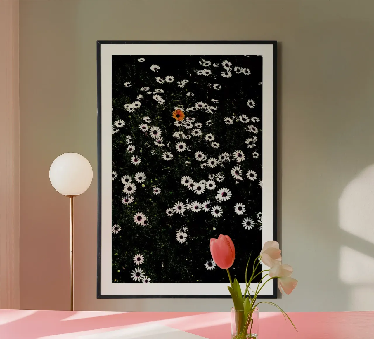 Namaqua poster da Shot By Clint