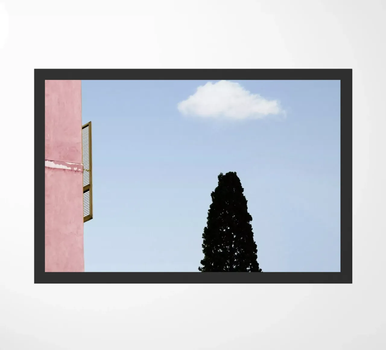 Room With A View zerbino da Rupert Höller