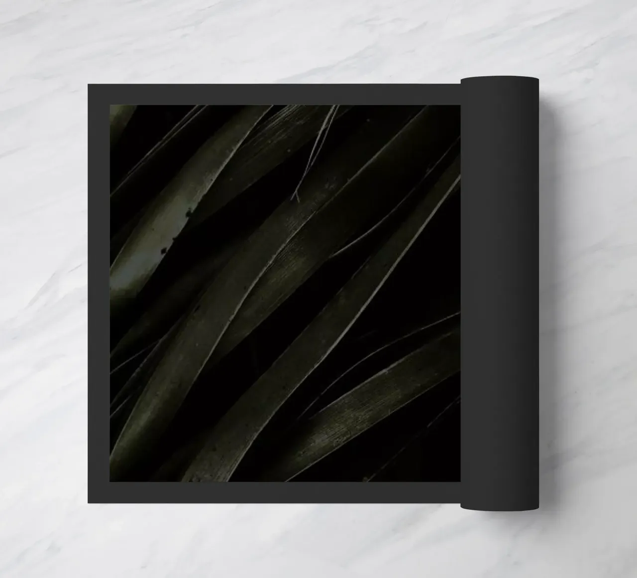 Black Palms zerbino da Chris Abatzis
