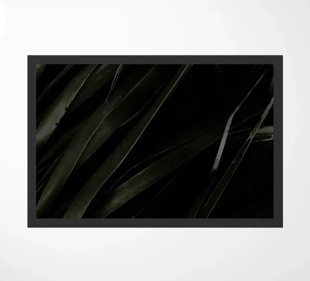Black Palms zerbino da Chris Abatzis