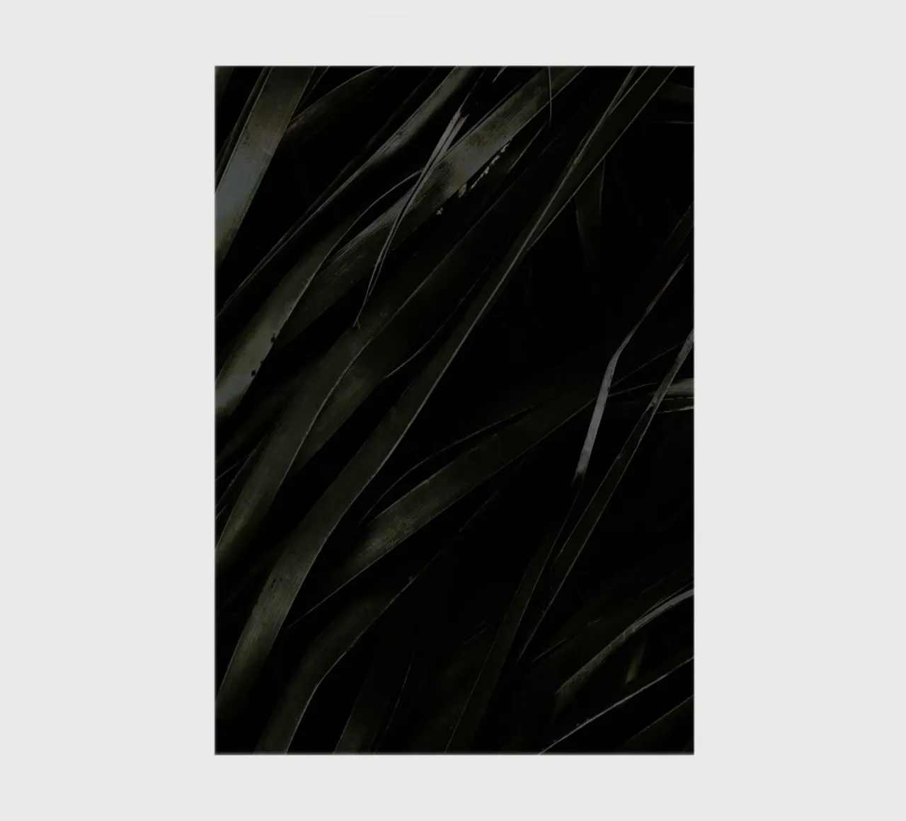 Black Palms notebook by Chris Abatzis
