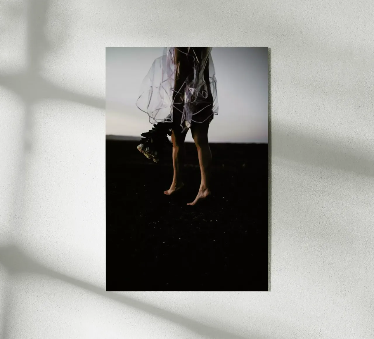 Desert Roses plexiglass da Chris Abatzis