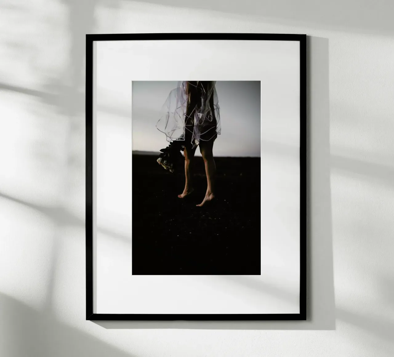 Desert Roses poster da Chris Abatzis