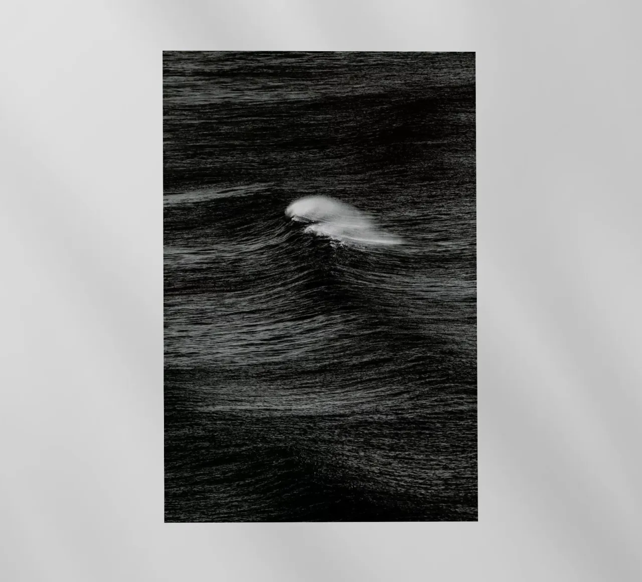 Tempting pellicola backlit da Shot By Clint