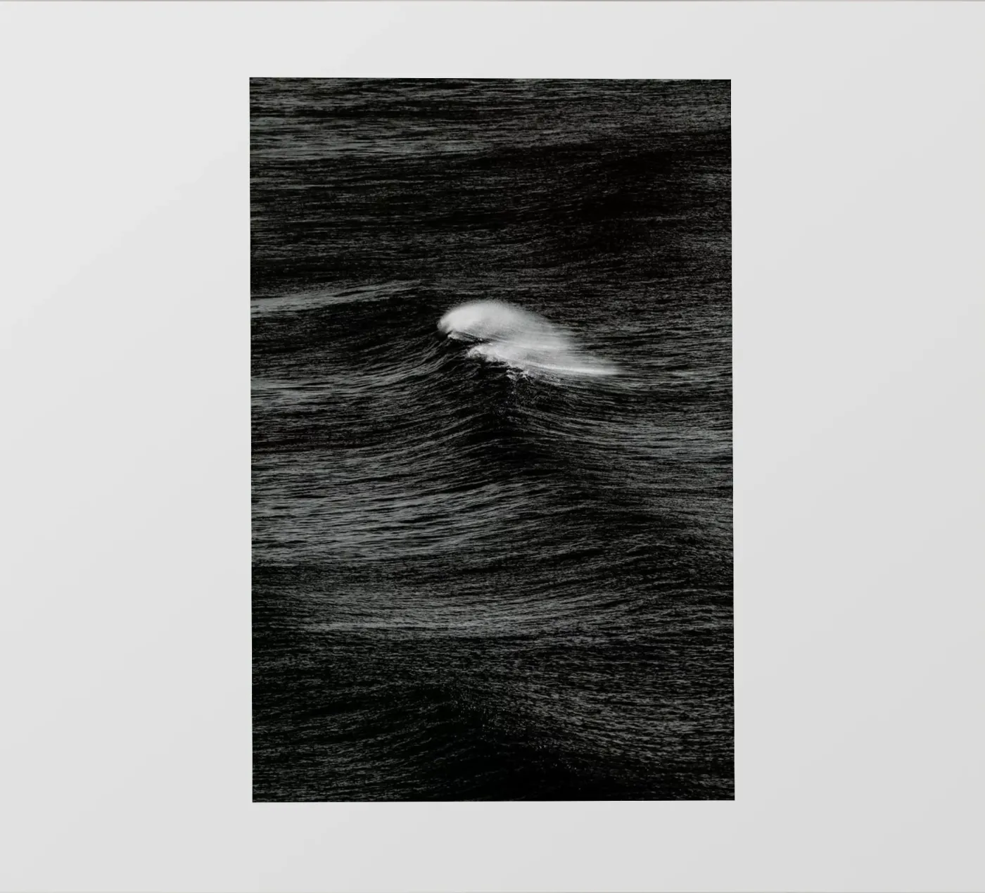 Tempting pellicola backlit da Shot By Clint