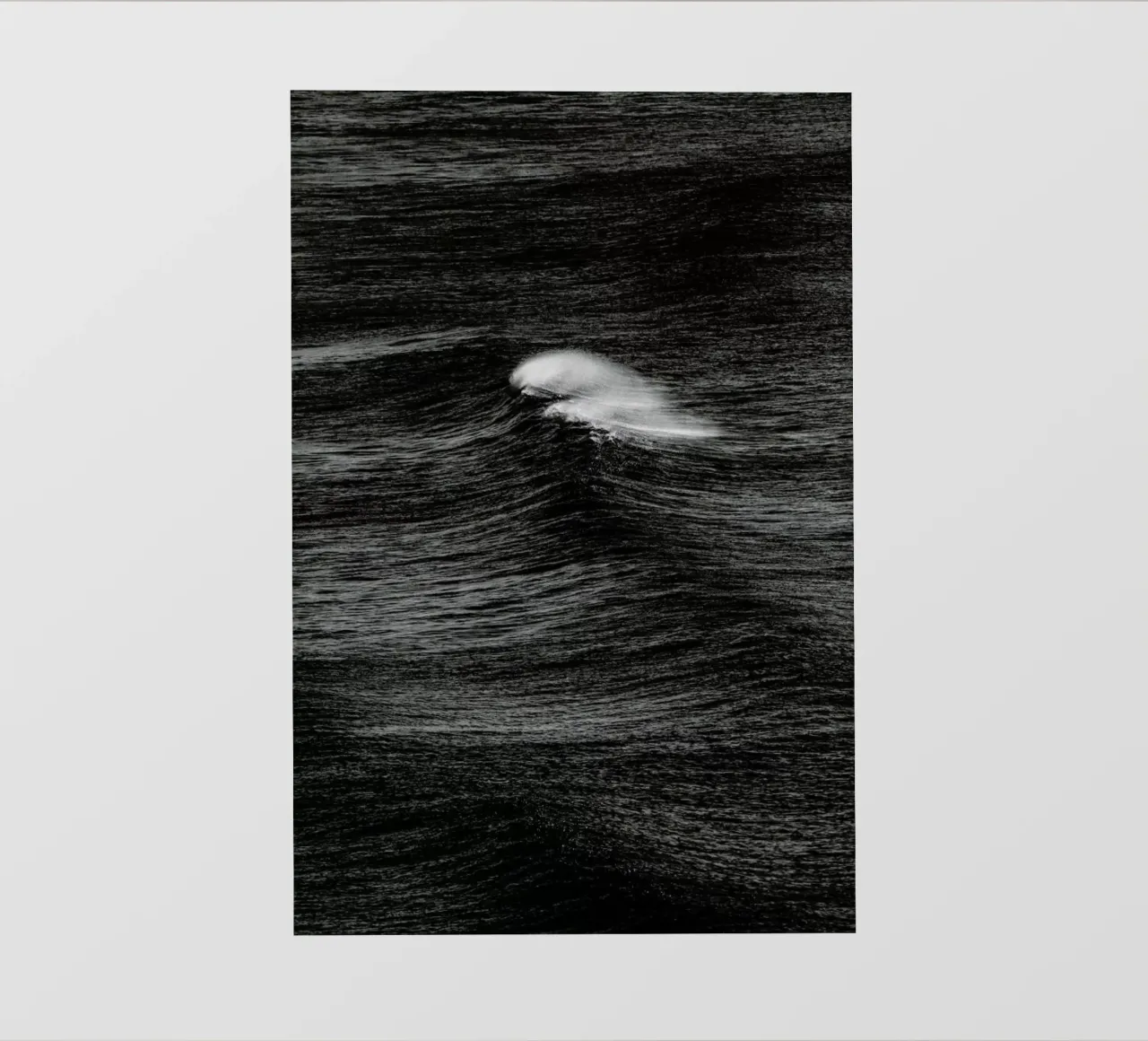 Tempting pellicola backlit da Shot By Clint