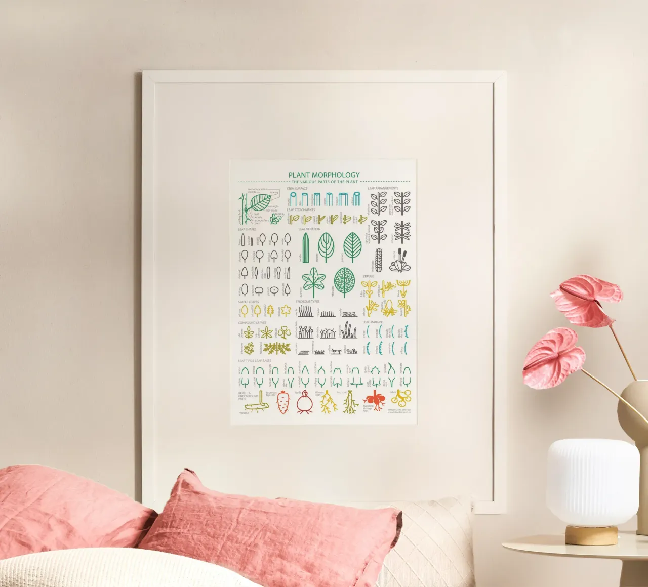 MORFOLOGIA DELLE PIANTE - Le varie parti della pianta poster con telaio in alluminio da Lidia Blomgren
