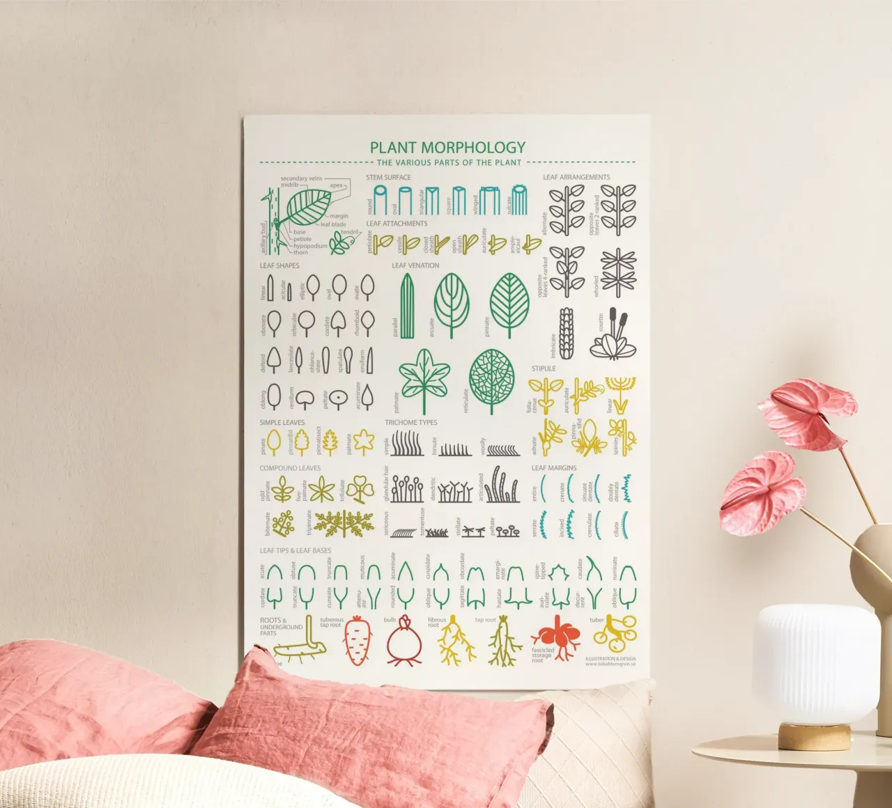 MORFOLOGIA DELLE PIANTE - Le varie parti della pianta poster con telaio in alluminio da Lidia Blomgren