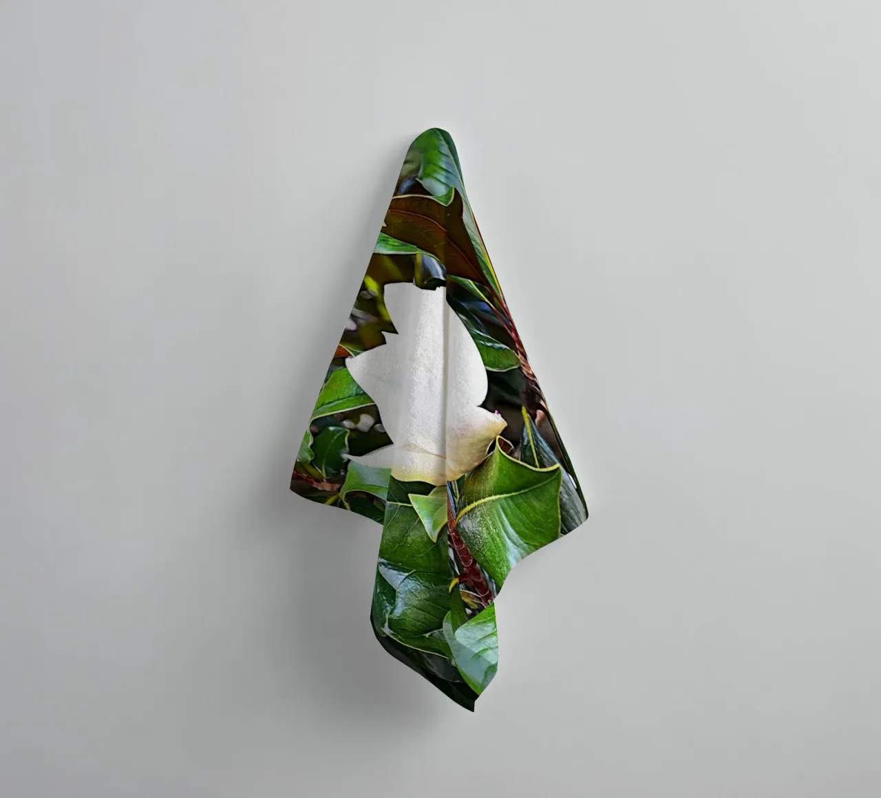 FAA269 towel by Thierry vobmann photography