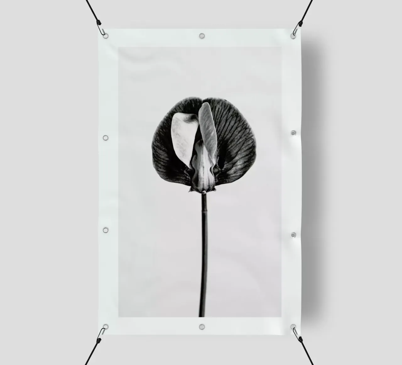 Strange Beauty V telo in pvc da Flora & Fauna