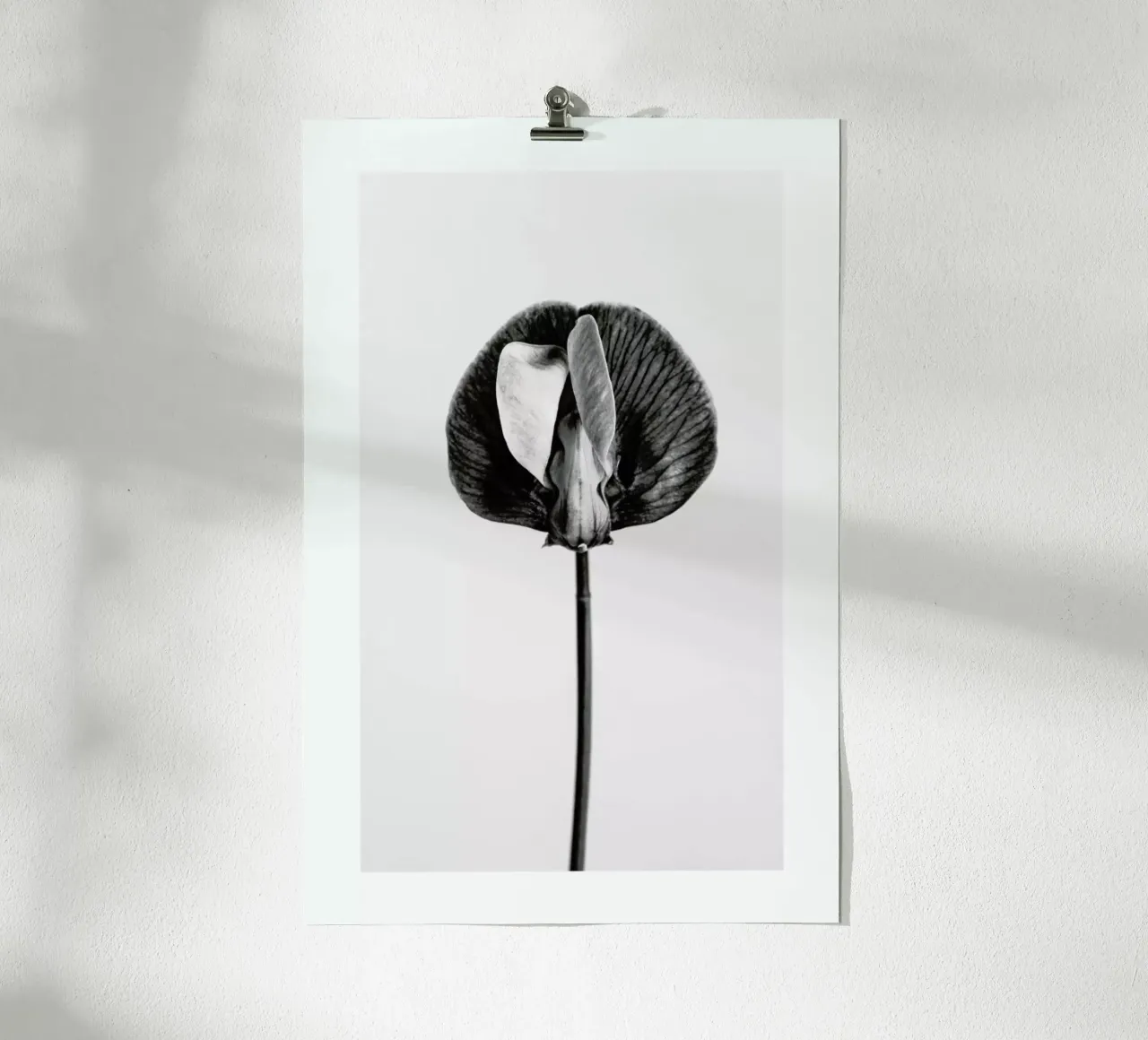 Strange Beauty V carta hahnemühle da Flora & Fauna