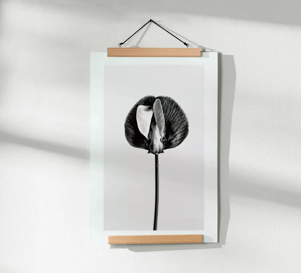 Strange Beauty V carta hahnemühle da Flora & Fauna