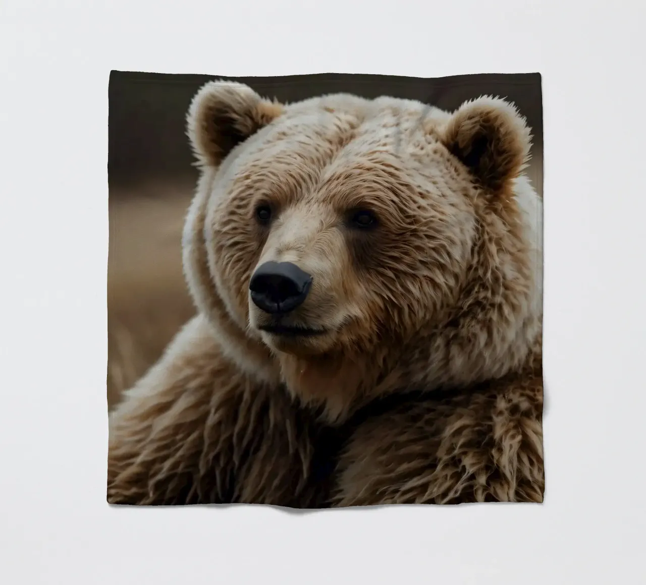 Vue rapprochée d'un ours brun se reposant dans un champ herbeux. plaid polaire de DesignDoodle