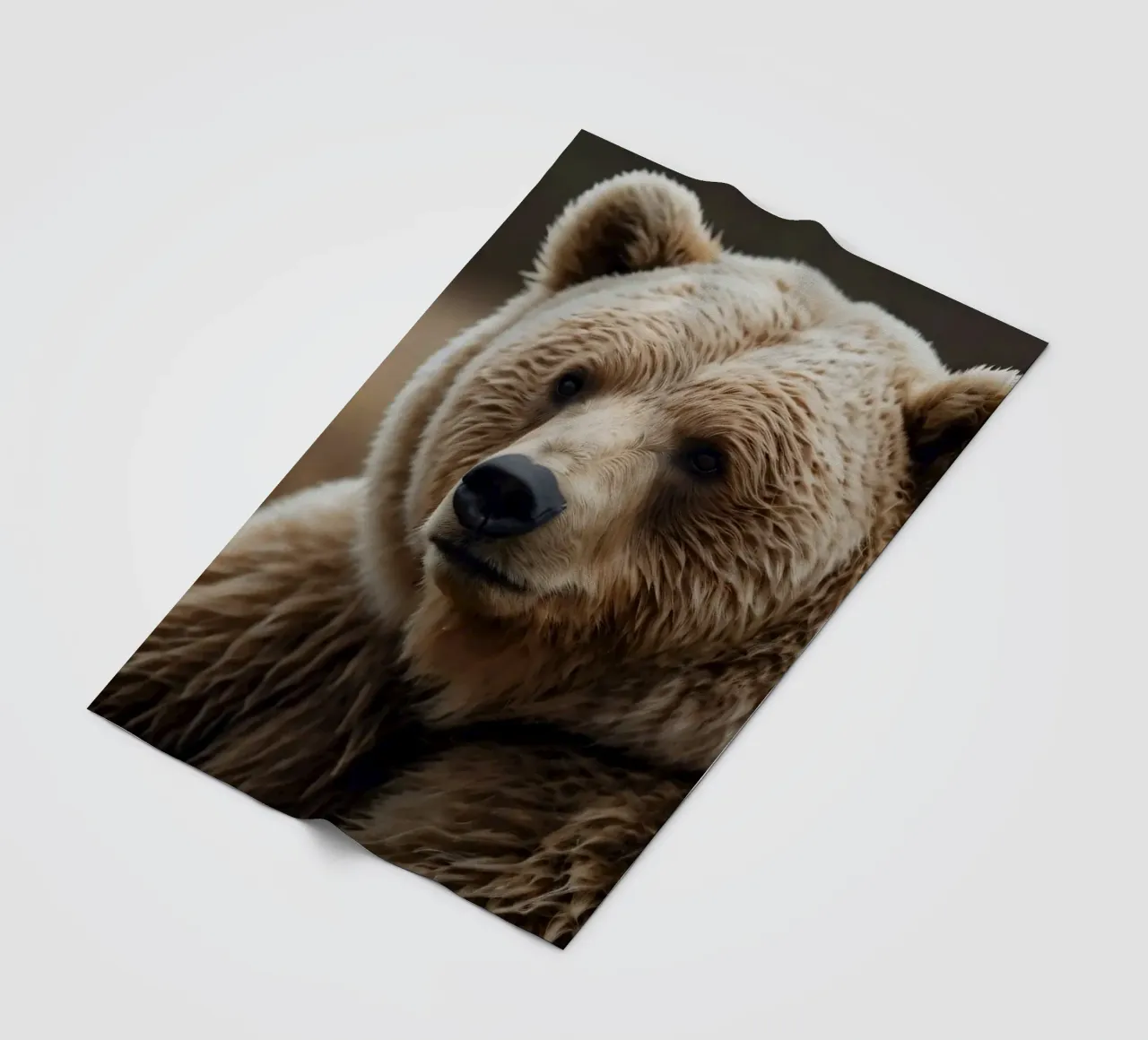 Vue rapprochée d'un ours brun se reposant dans un champ herbeux. plaid polaire de DesignDoodle