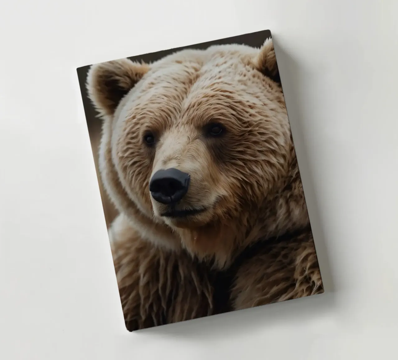 Vue rapprochée d'un ours brun se reposant dans un champ herbeux. carnet de notes de DesignDoodle