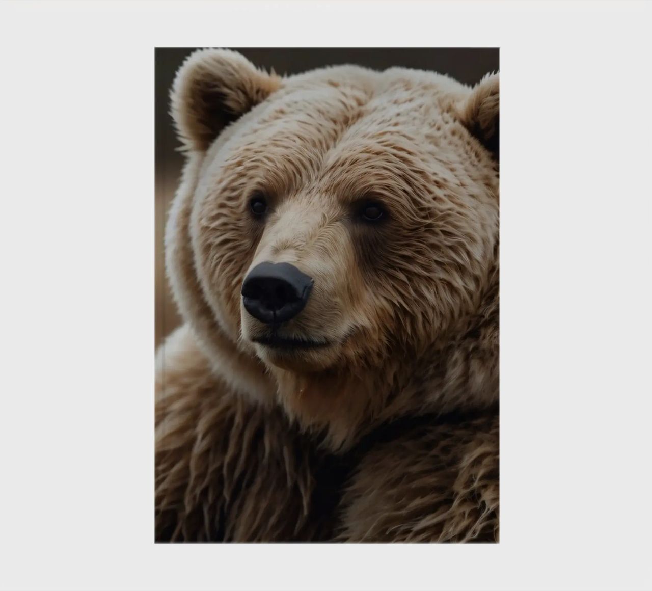 Vue rapprochée d'un ours brun se reposant dans un champ herbeux. carnet de notes de DesignDoodle