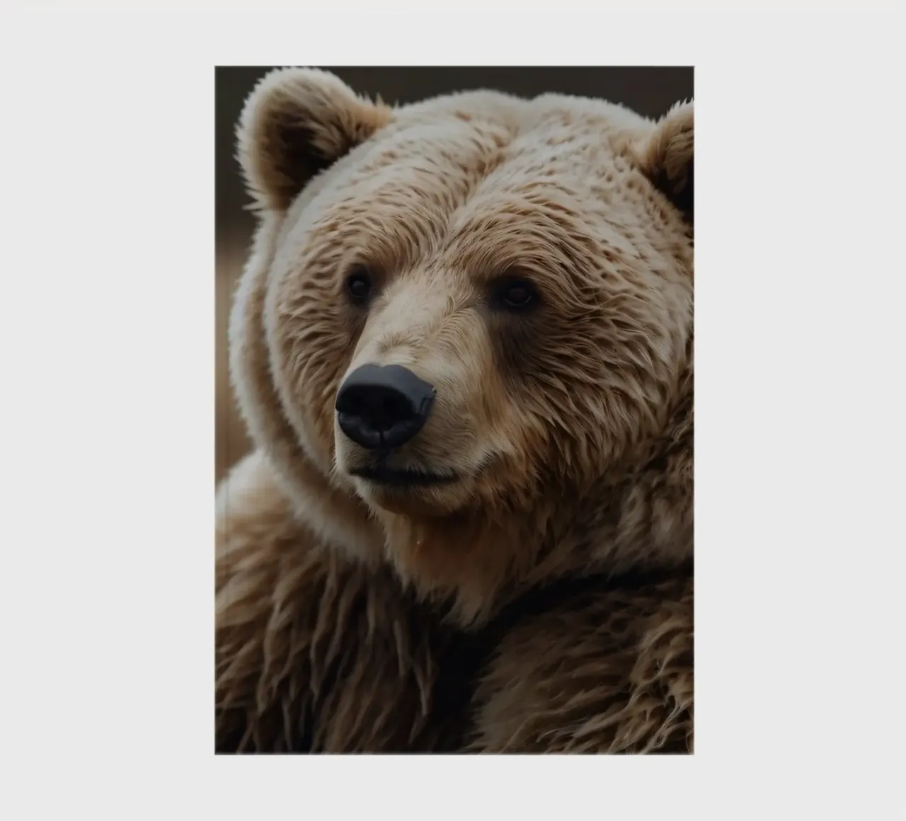 Nahaufnahme eines Braunbären, der auf einer Wiese ruht Notizbuch von DesignDoodle