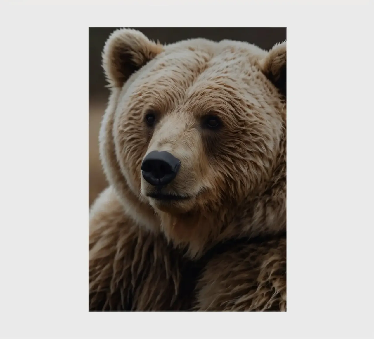 Nahaufnahme eines Braunbären, der auf einer Wiese ruht Notizbuch von DesignDoodle