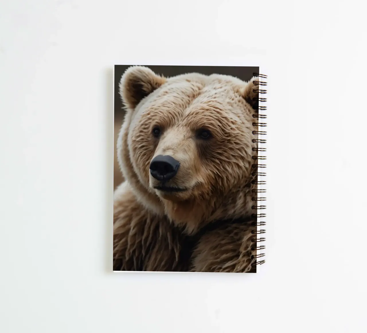 Vue rapprochée d'un ours brun se reposant dans un champ herbeux. carnet à spirale de DesignDoodle