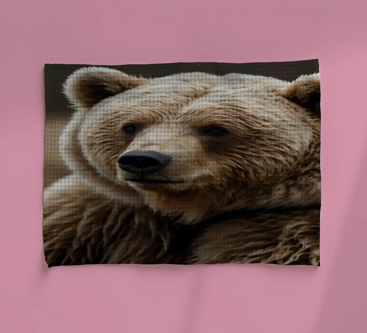 Vue rapprochée d'un ours brun se reposant dans un champ herbeux. torchon de DesignDoodle