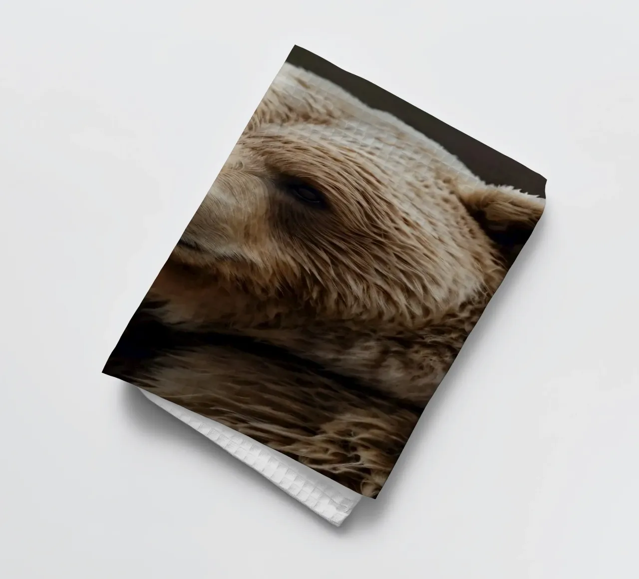 Vue rapprochée d'un ours brun se reposant dans un champ herbeux. torchon de DesignDoodle