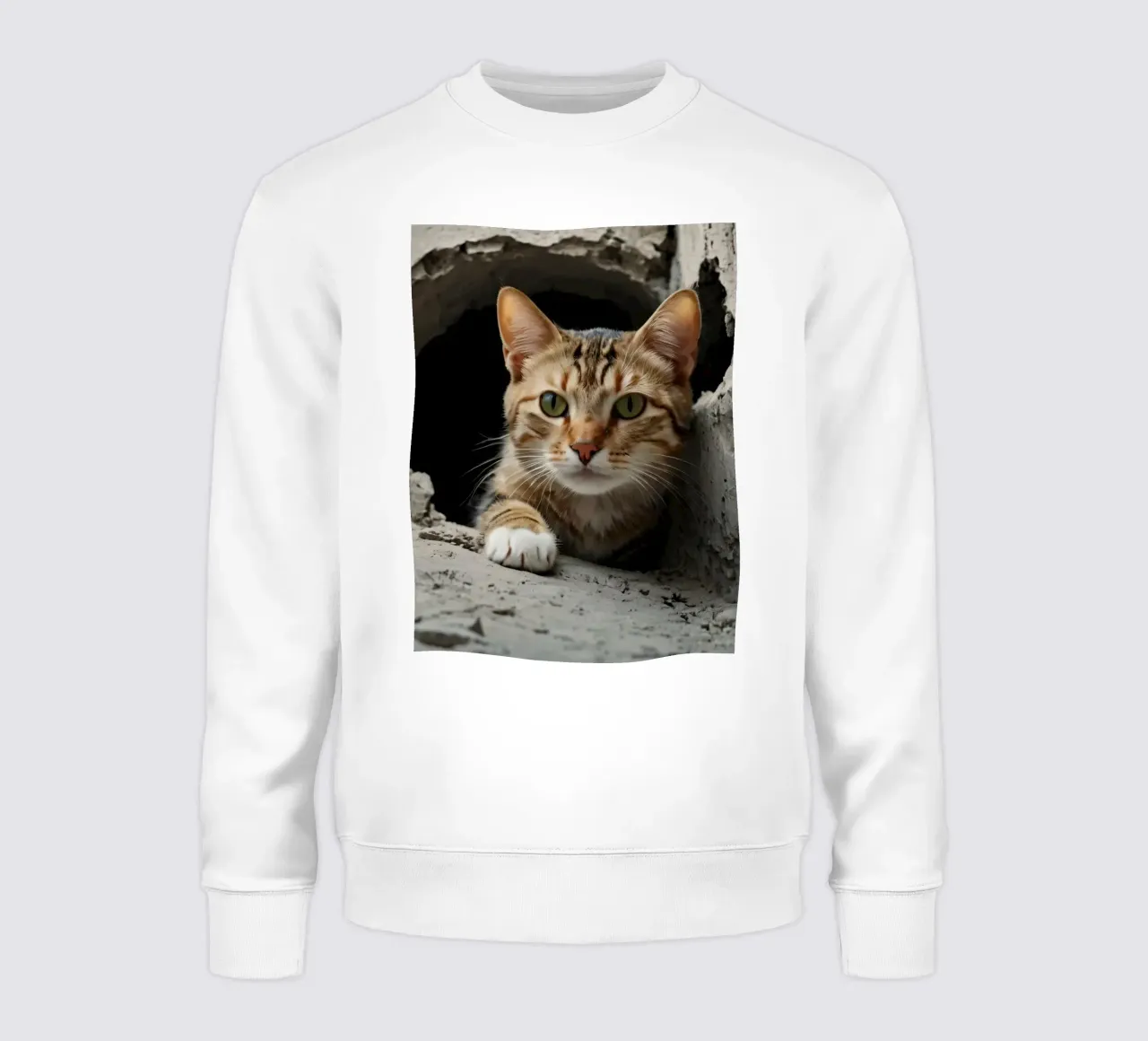 Un gatto curioso sbircia attraverso un buco nel calcestruzzo crepato felpa da DesignDoodle
