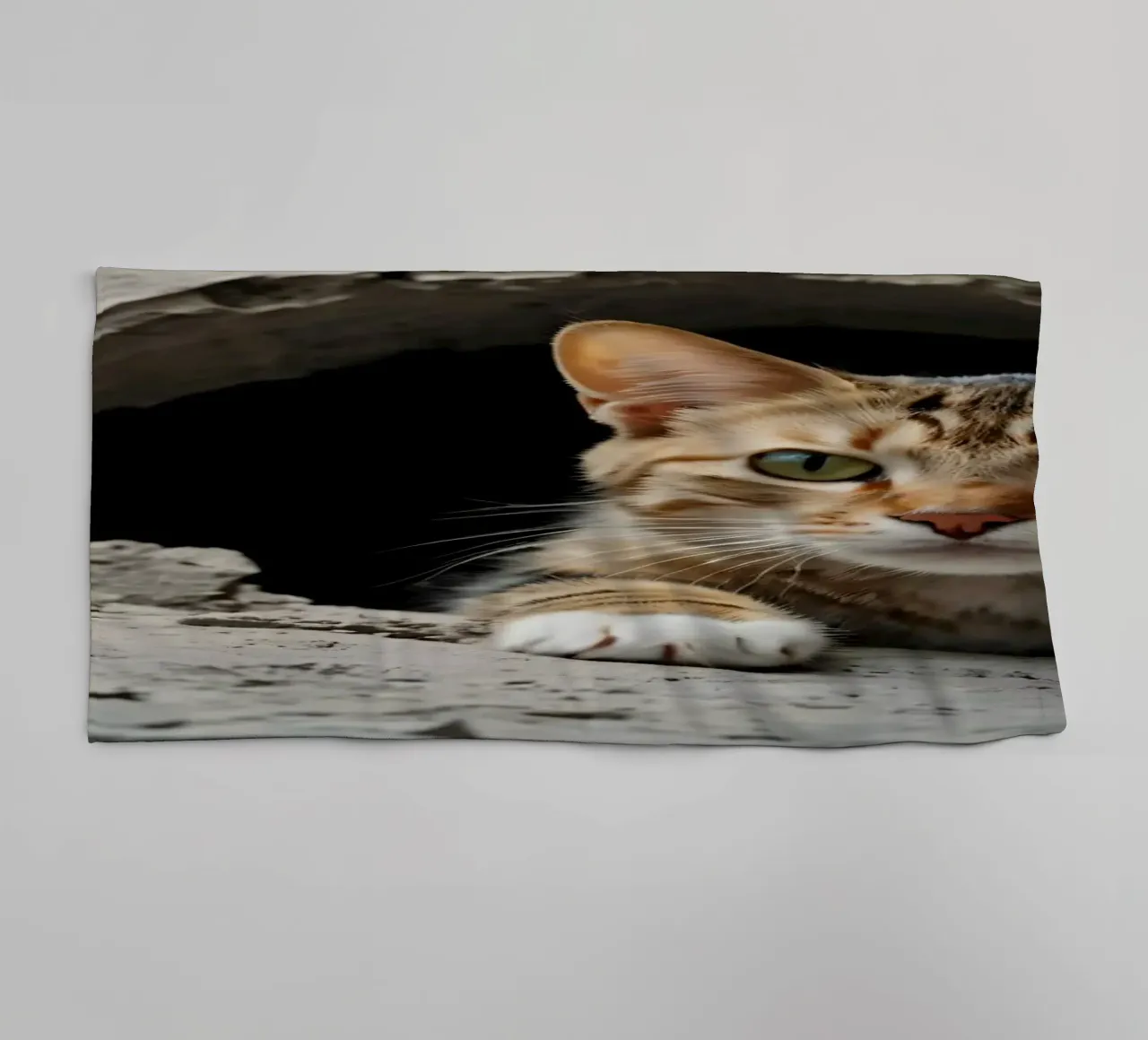 A curious cat peeks through a hole in the cracked concrete towel by DesignDoodle