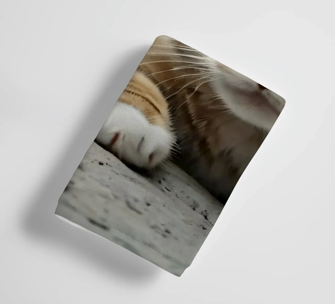 A curious cat peeks through a hole in the cracked concrete towel by DesignDoodle