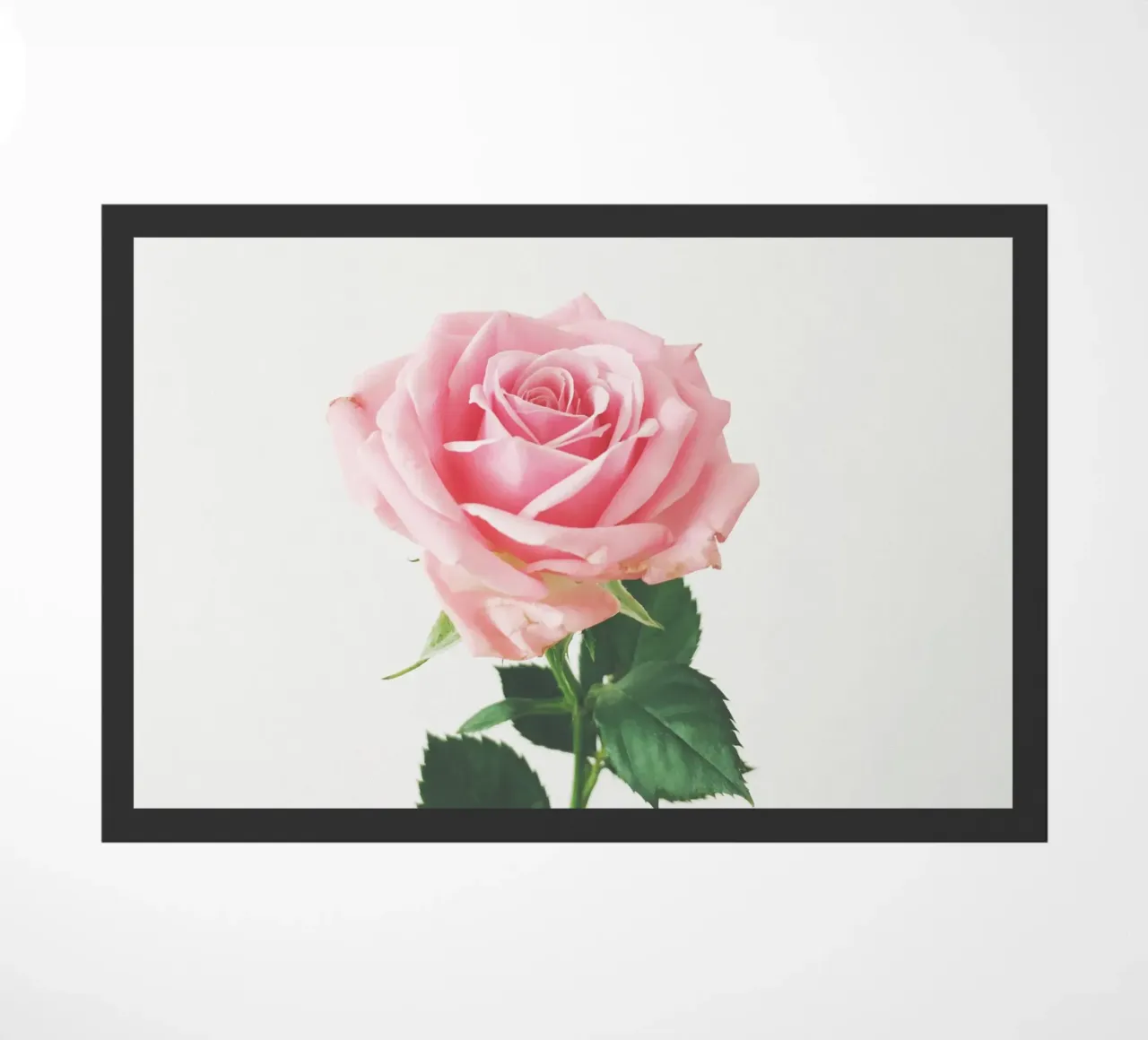 Spring Rose doormat by Cassia Beck Photography