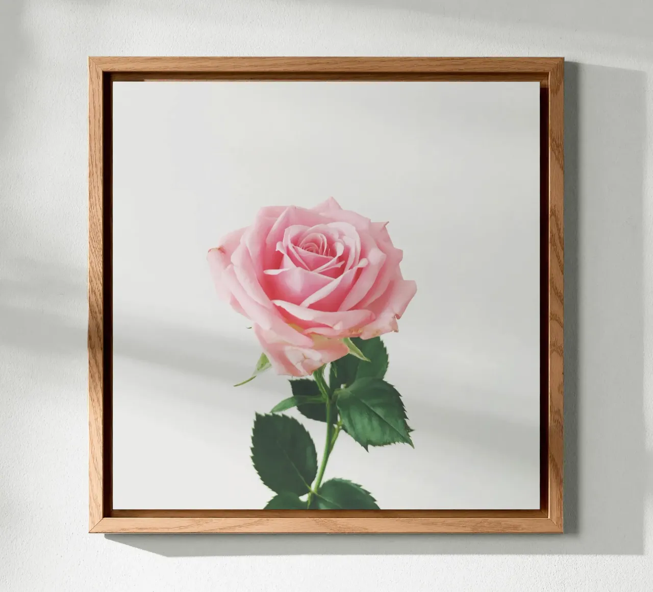 Spring Rose forex plate by Cassia Beck Photography