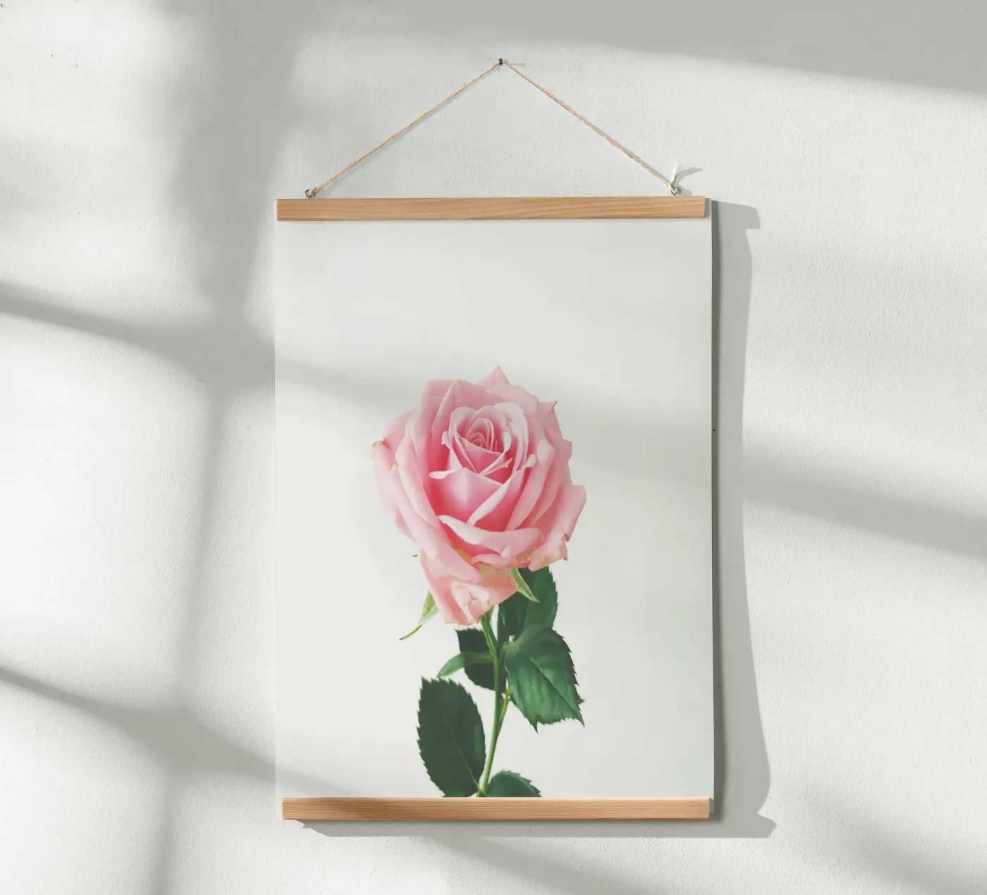 Rose de printemps poster de Cassia Beck Photography