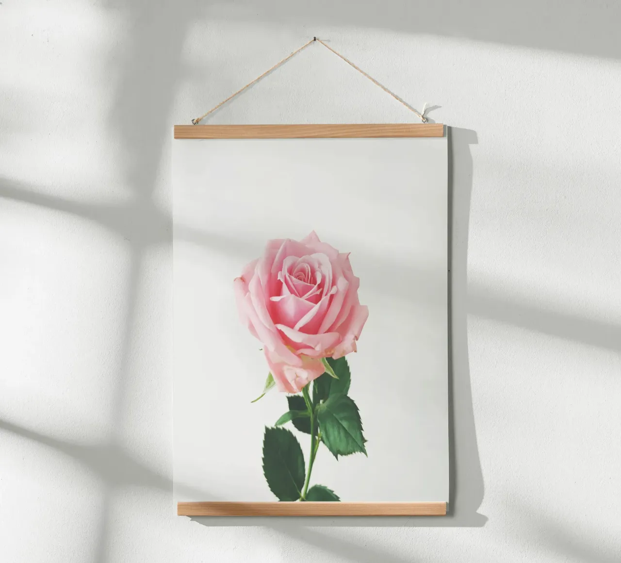 Rosa di primavera poster da Cassia Beck Photography