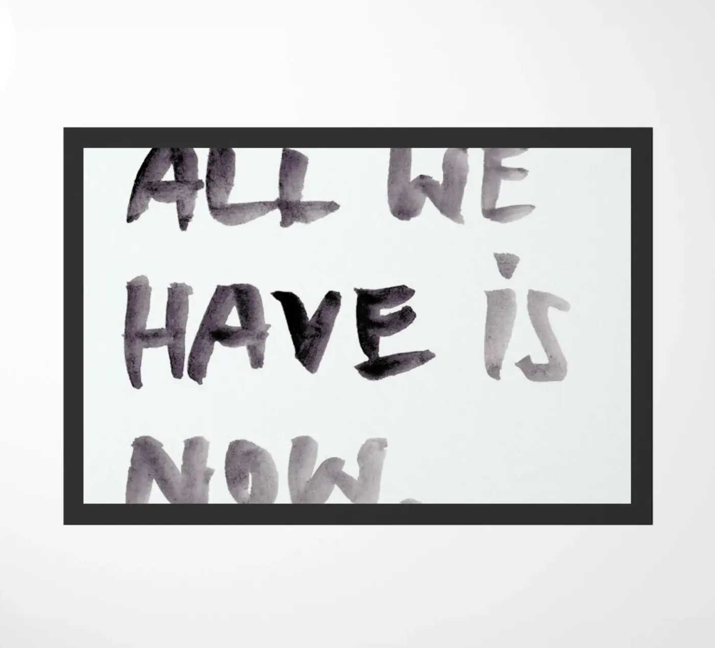 All we have zerbino da PETERSEN