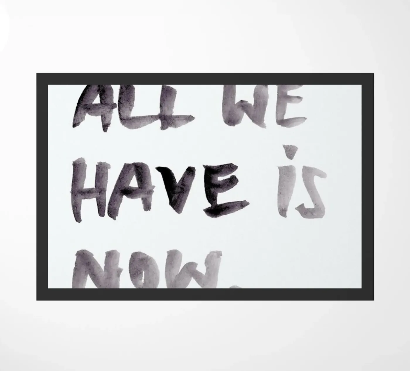 All we have zerbino da PETERSEN