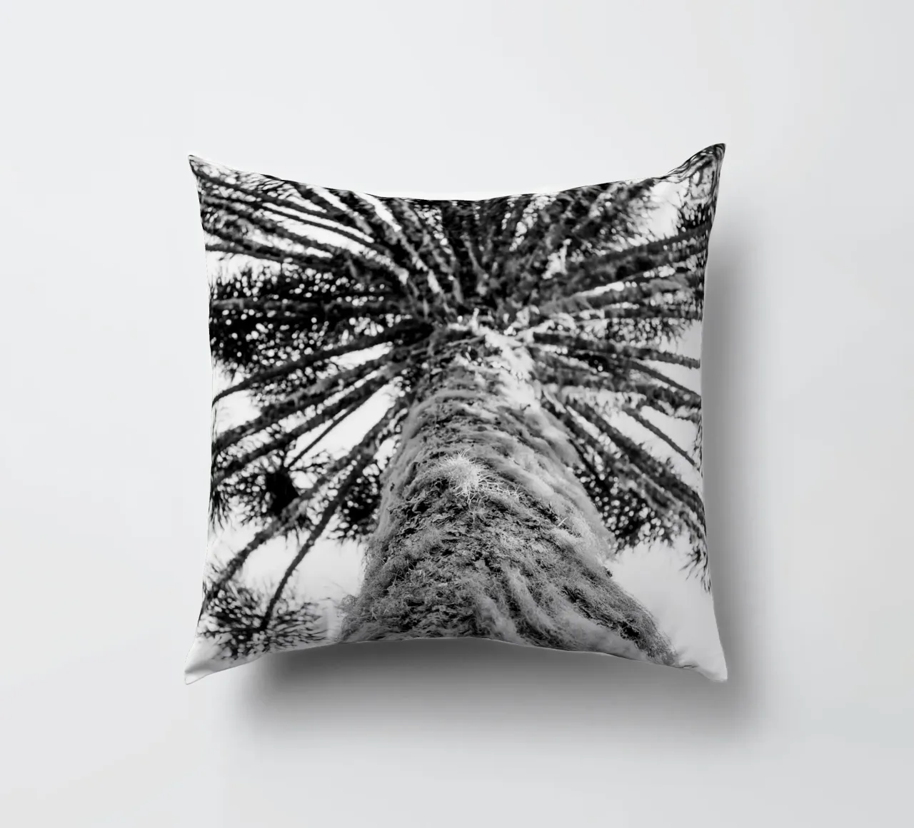Araucaria #1 cuscino da rafael campezato
