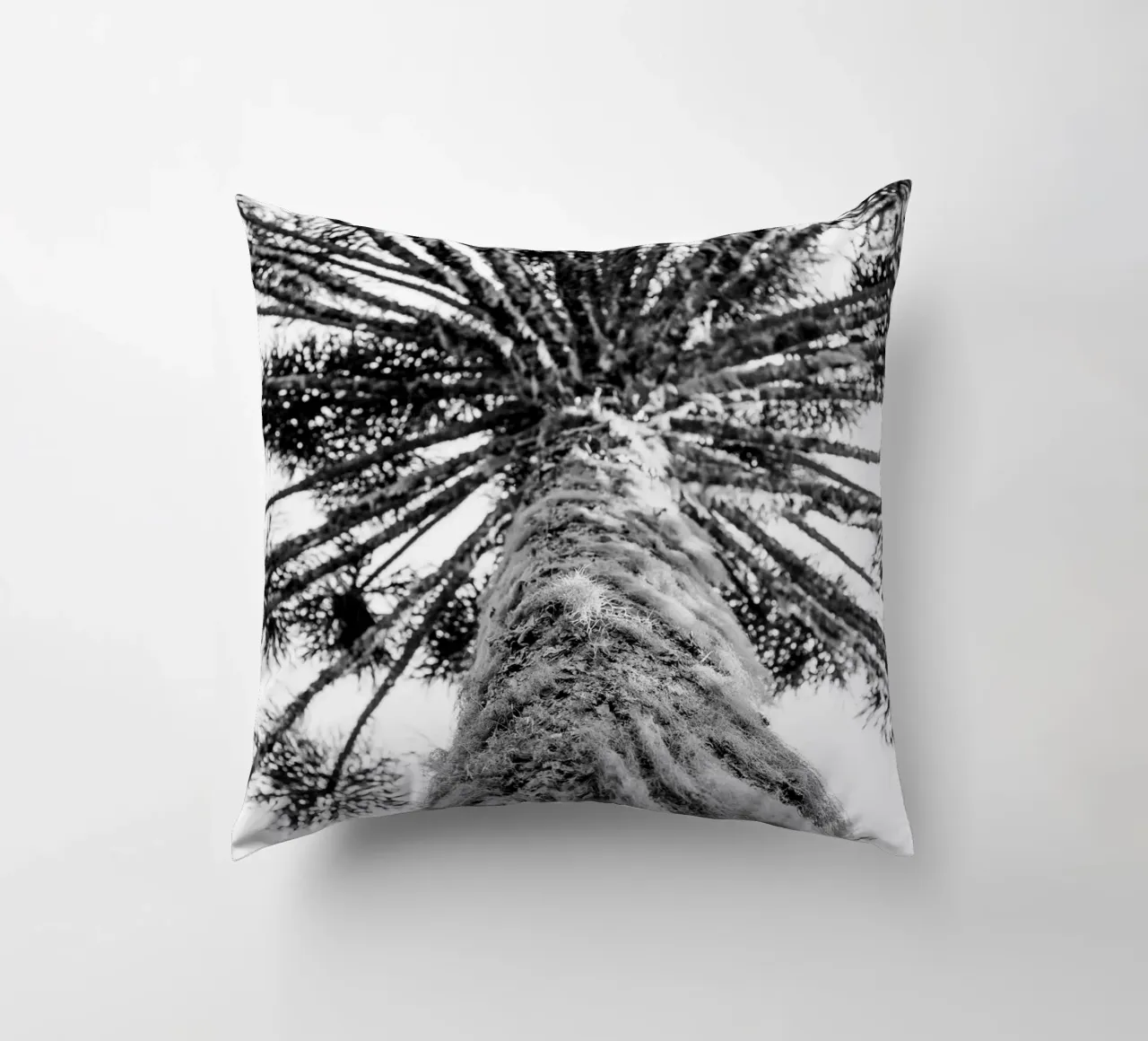 Araucaria #1 cuscino da rafael campezato