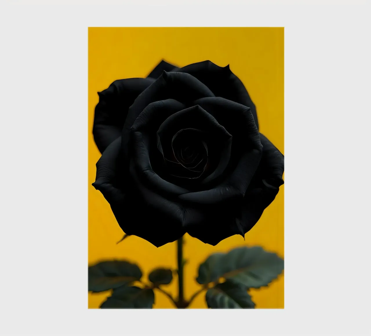Rosa_nera_05 diario da Farb- und Blütenzauber by LK