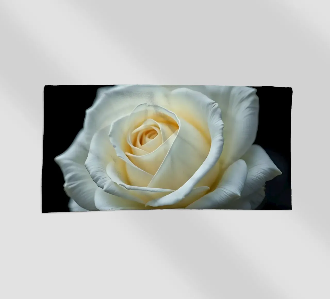 Rosa_bianca_01 telo mare da Farb- und Blütenzauber by LK