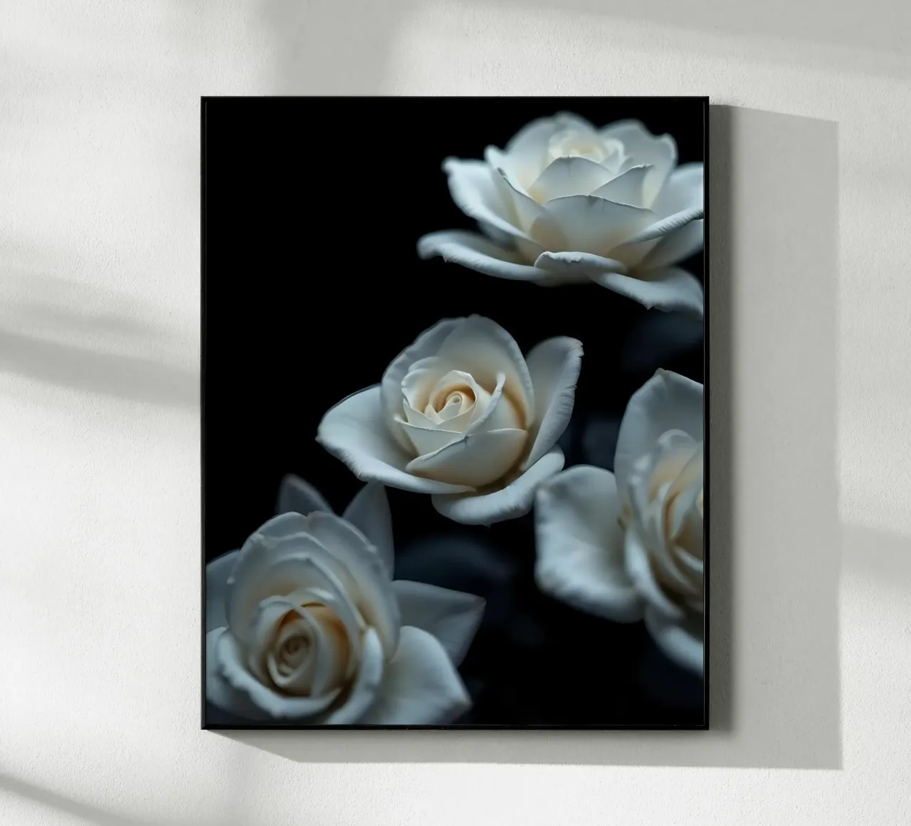 Rosa_bianca_02 plexiglass da Farb- und Blütenzauber by LK
