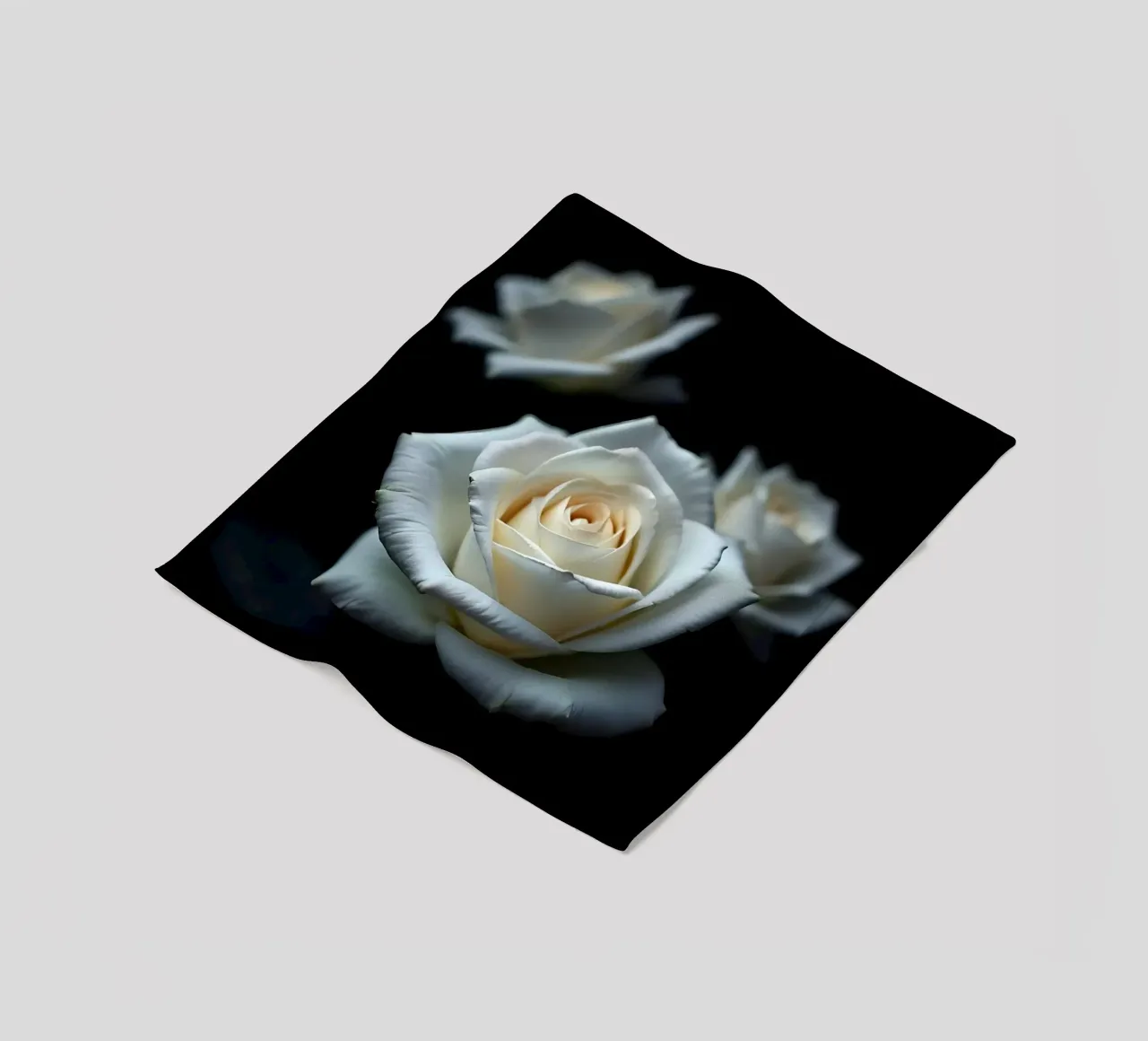 Rosa_bianca_03 coperta in pile da Farb- und Blütenzauber by LK